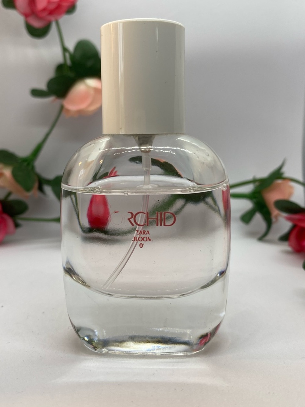 Zara -Orchid